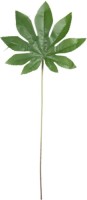 Decoratie blad | 55 cm | Groen | Kunststof | Blad | Clayre & Eef | 6PL0211