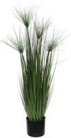 Mica Decorations papyrus in plastic pot maat in cm: 102 x 15 - GROEN