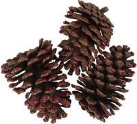 Decoratie dennenappels (3st) | 8/10 cm (set 3) | Creme | Hout | Dennenappels | Clayre & Eef | 64587