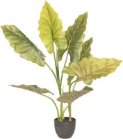 Decoratie kamerplant | 60*53*78 cm | Groen | kunststof / foam | Plant | Clayre & Eef | 5PL0020