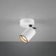 Trio Hanglamp Pago 9 X 15 Cm Staal Wit