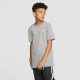 Nike T-shirt grijs