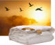 iSleep Goud ganzendons enkel dekbed - warmteklasse 2 - Lits-jumeaux XL 260x220 cm