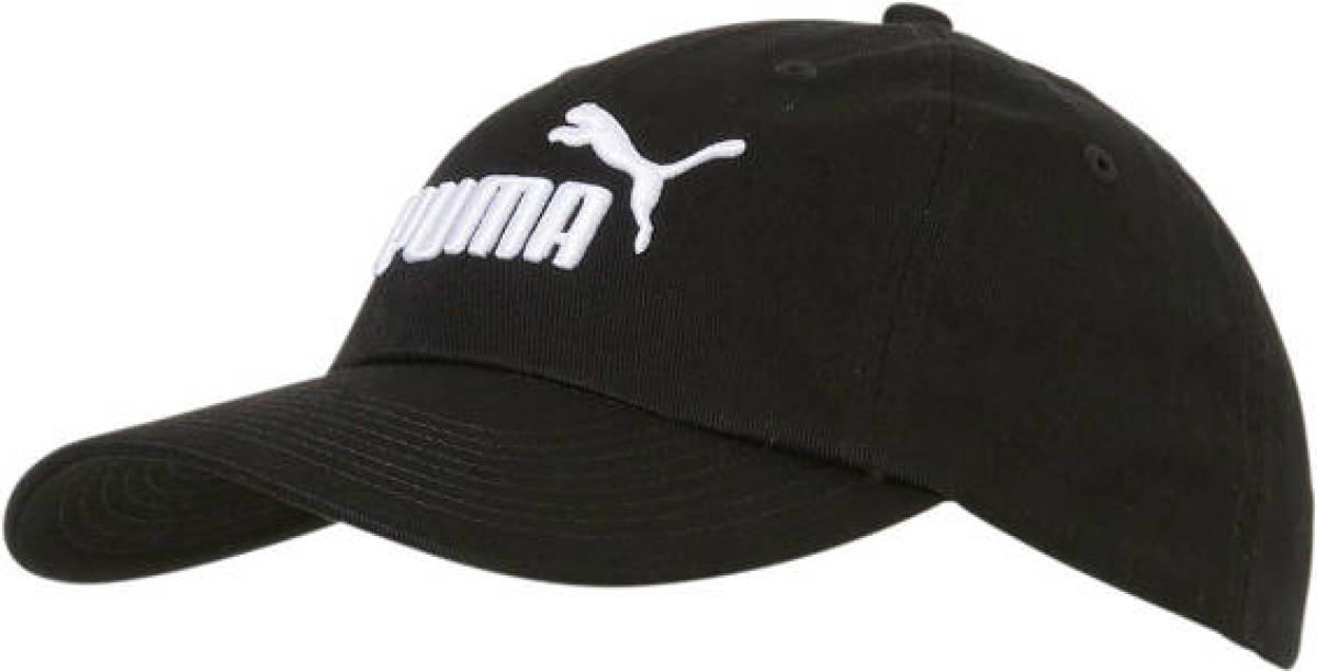Puma pet