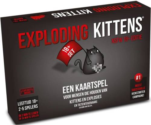 Asmodee kaartspel Nsfw (NL)