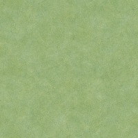 Evergreen Behang Leaf Veins groen