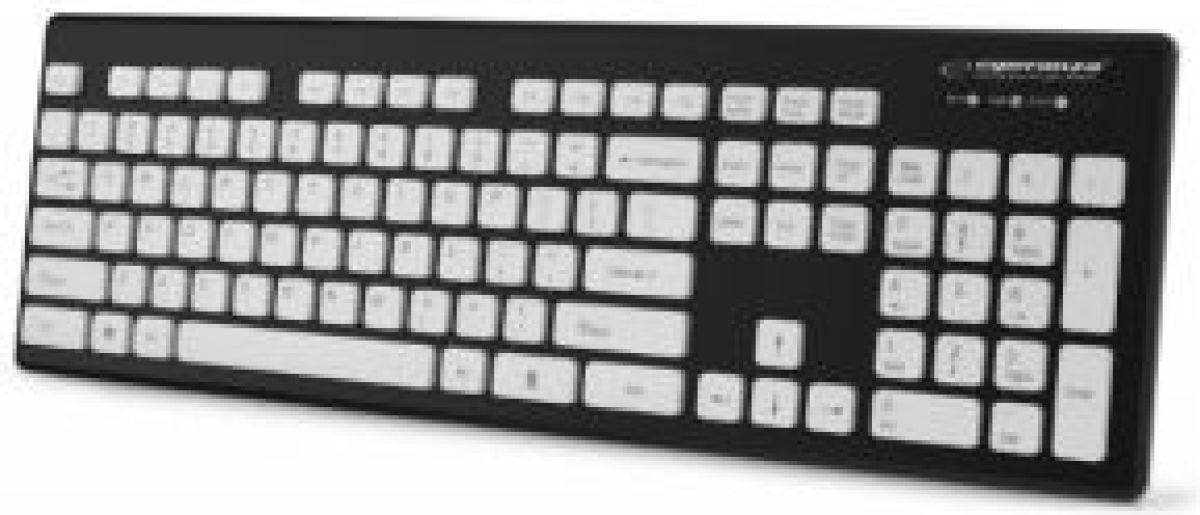 Esperanza EK130K toetsenbord USB QWERTY Brits Engels Zwart, Zilver