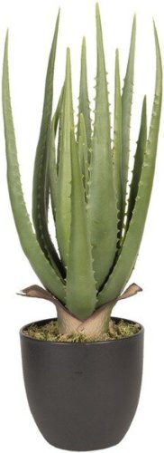 Decoratie kamerplant aloe vera | 14*14*46 cm | Groen | kunststof / foam | Plant | Clayre & Eef | 6PL0214