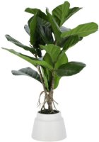 Kave Home - Kunstplant Lyrata 60 cm