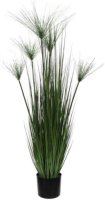 Mica Decorations papyrus in plastic pot maat in cm: 127 x 17 - GROEN