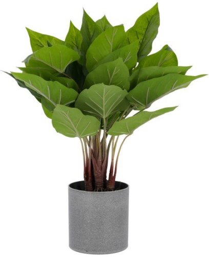 Kave Home - Kunstplant Anthurium 50 cm