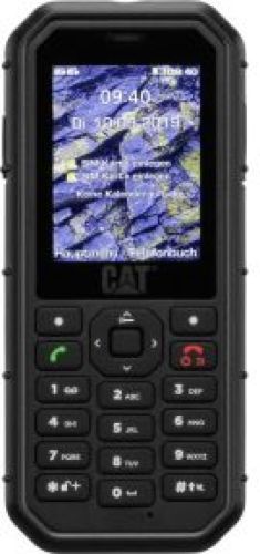 Cat B26