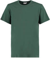 America Today T-shirt Eric van biologisch katoen groen