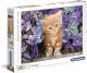 Clementoni Kitten legpuzzel 500 stukjes