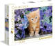 Clementoni Kitten legpuzzel 500 stukjes