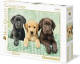 Clementoni Three labs legpuzzel 1000 stukjes