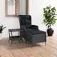 VidaXL 2-delige Loungeset met kussens poly rattan donkergrijs