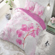 Sleeptime Elegance Dream Orchid - Pink Lits-jumeaux (240 x 220 cm + 2 kussenslopen) Dekbedovertrek