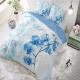 Sleeptime Elegance Dream Orchid - Turquoise Lits-jumeaux (240 x 220 cm + 2 kussenslopen) Dekbedovertrek