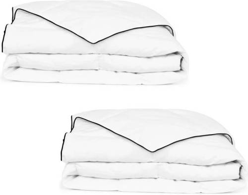 VidaXL Winterdekbed 150x200 cm dons 2 st