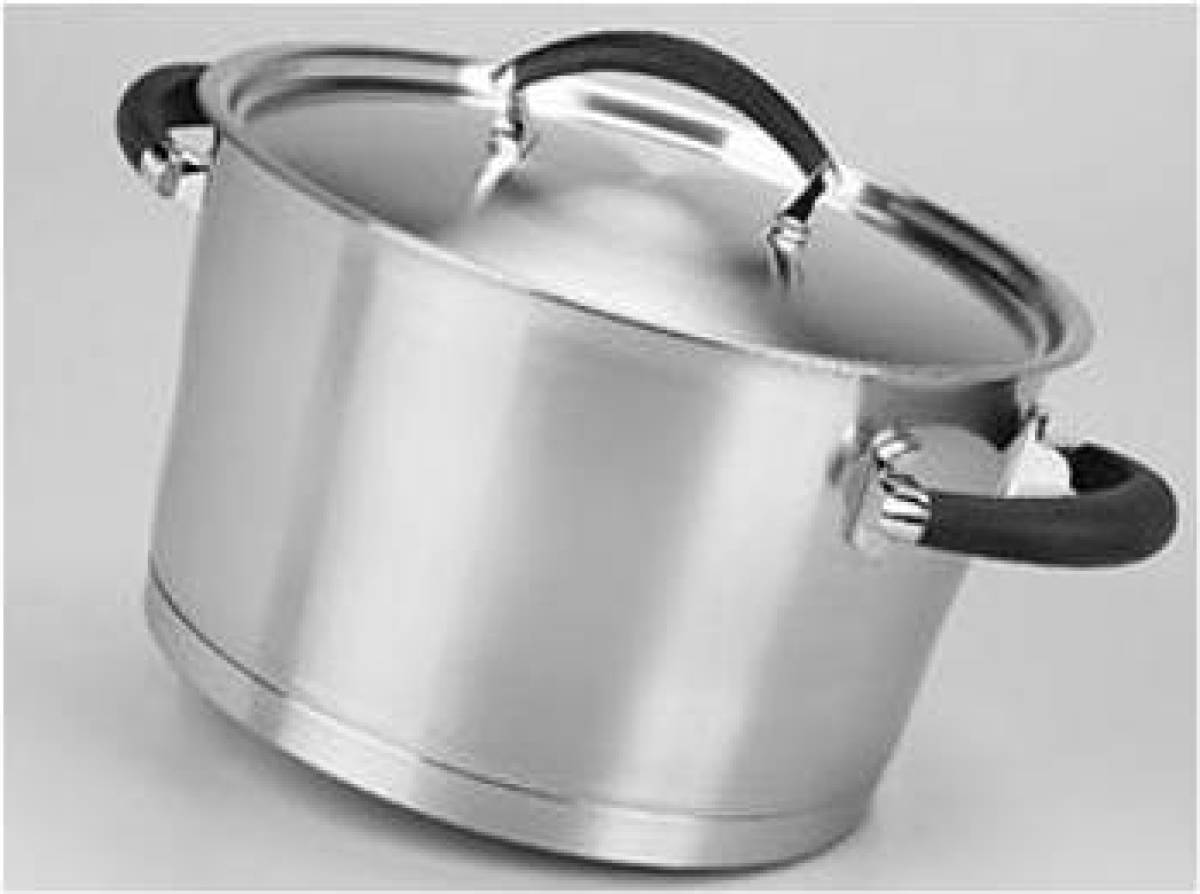 Habonne Forte Soeppan - 24 cm - RVS - met deksel
