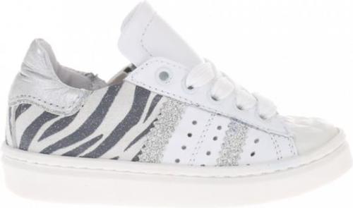 Gattino g1261
