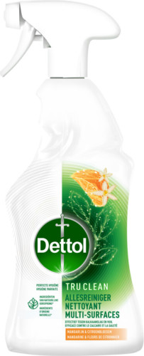 Dettol Allesreiniger Spray Mandarijn&Citroenbloesem 500 ml