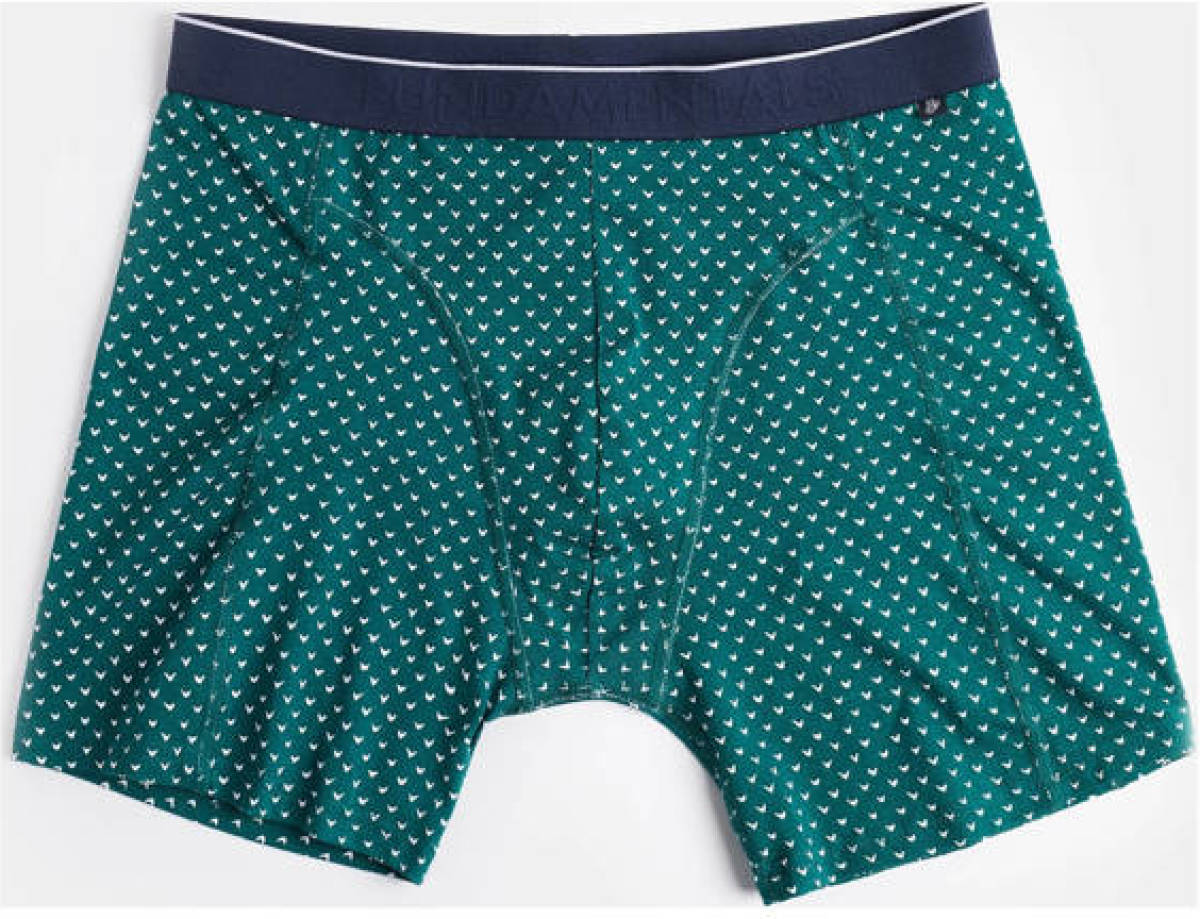 WE Fashion boxershort groen