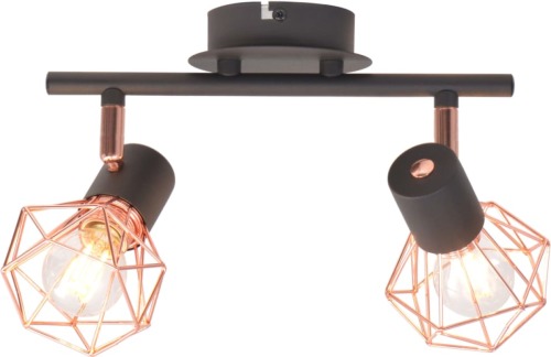 VidaXL Plafondlamp met 2 spotlights E14 zwart en koper