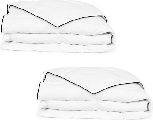VidaXL Winterdekbed 155x220 cm dons 2 st