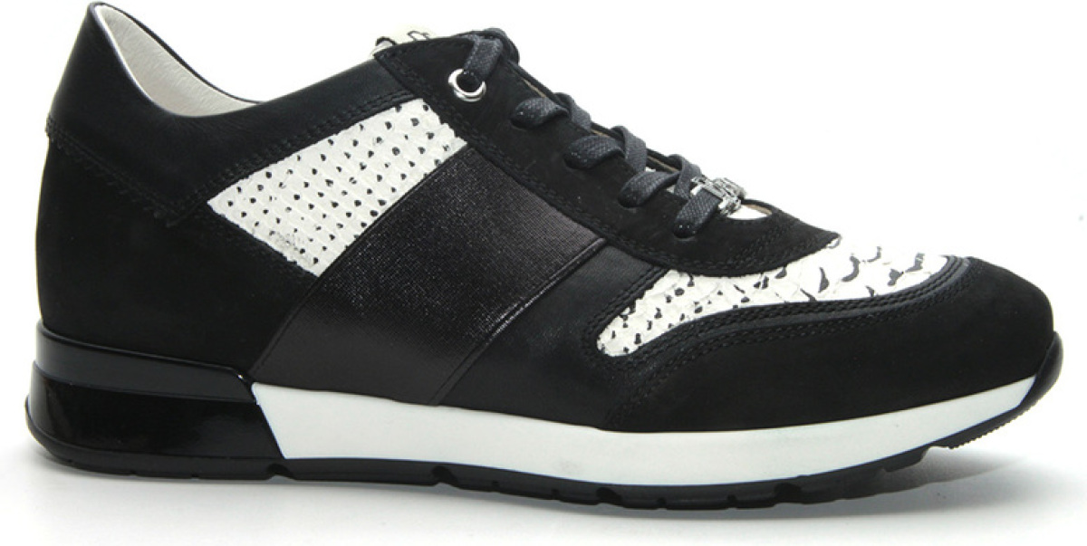 Dl sport 4636