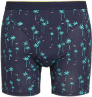WE Fashion Fundamentals boxershort