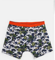 WE Fashion Fundamentals boxershort