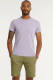 Superdry T-shirt met logo pale lilac marl