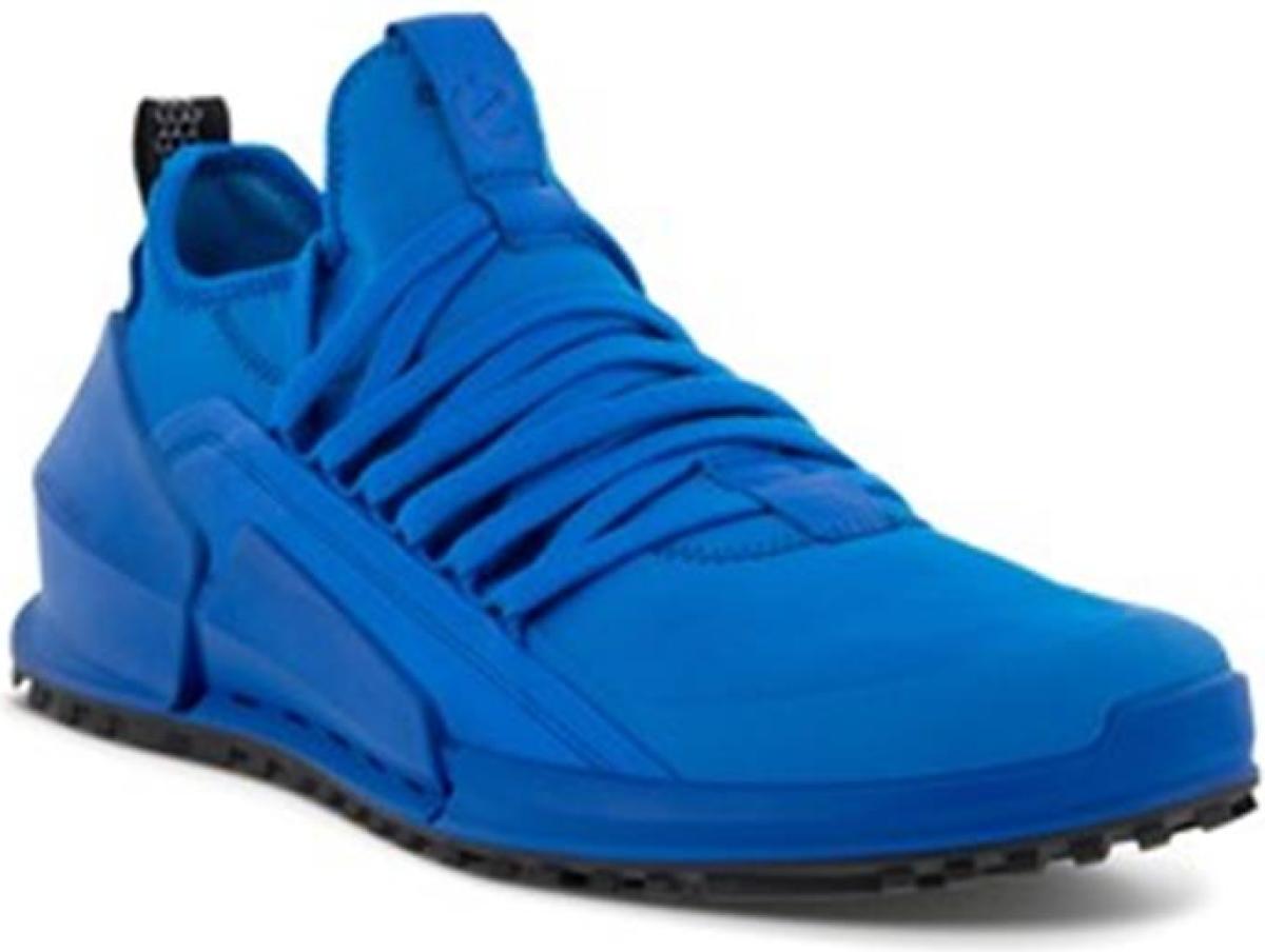 Ecco 800624dynast