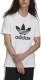 adidas Originals Adicolor T-shirt wit/zwart