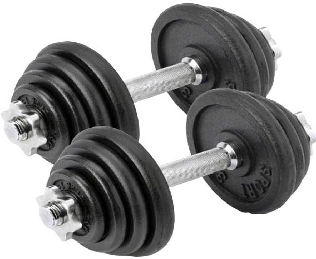Verstelbare dumbbellset - Focus Fitness - 2 x 15 kg - Gietijzer