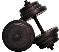 Verstelbare Dumbbellset - Focus Fitness - 20 kg
