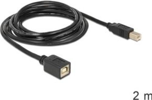 Delock USB2.0-B - USB2.0-B, 2m