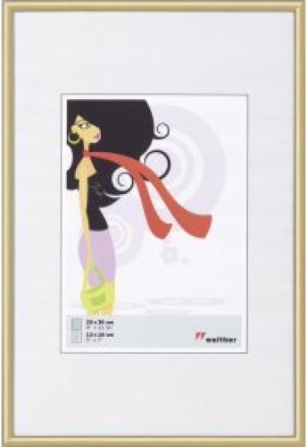 Walther New Lifestyle 20x30 kunststof goud KV030G