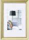 Walther Lounge goud 20x30 kunststof JA030G