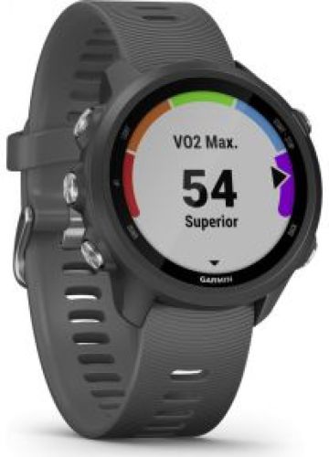Garmin Forerunner 245 zwart/grijs