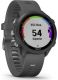 Garmin Forerunner 245 zwart/grijs