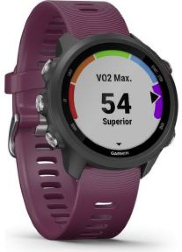 Garmin Forerunner 245 zwart/merlot