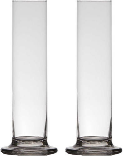 Bellatio Decorations 2x Stuks Transparante Luxe Stijlvolle 1 Bloem Vaas/vazen Van Glas 30 X 6 Cm - Roos Met Valentijn Vaas Voor Binnen