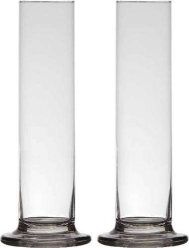 Bellatio Decorations 2x Stuks Transparante Luxe Stijlvolle 1 Bloem Vaas/vazen Van Glas 25 X 6 Cm - Roos Met Valentijn Vaas Voor Binnen