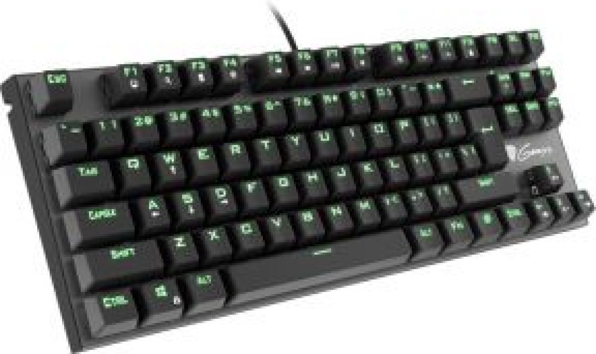 Natec Genesis THOR 300 TKL toetsenbord USB QWERTY Amerikaans Engels Zwart