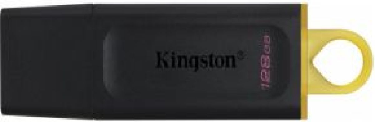 Kingston Technology DataTraveler Exodia USB flash drive 128 GB USB Type-A 3.2 Gen 1 (3.1 Gen 1) Zwar