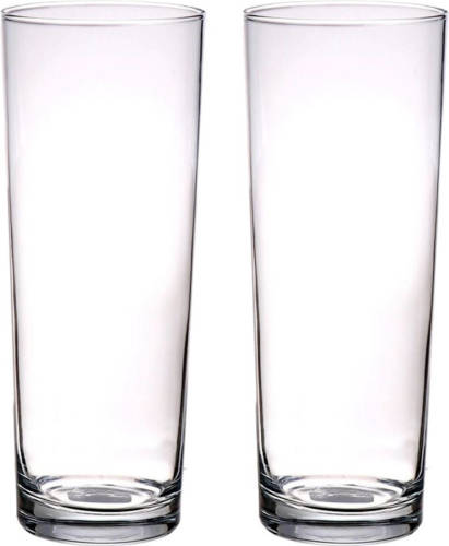 Merkloos 2x Stuks Rechte Cilinder Vaas/vazen Glas 24 Cm - Kleine Glazen Vaasjes - Bloemenvazen Van Glas