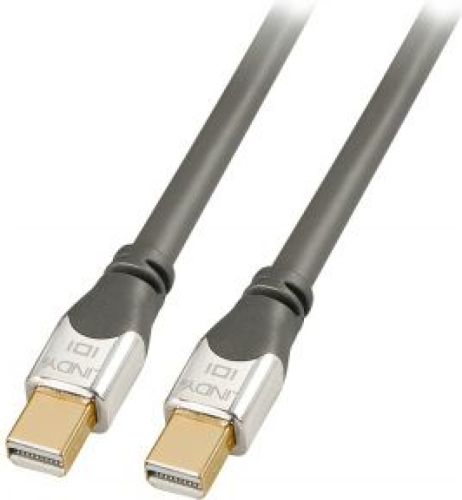 LINDY 36309 5m Mini DisplayPort Mini DisplayPort Chroom, Grijs DisplayPort kabel